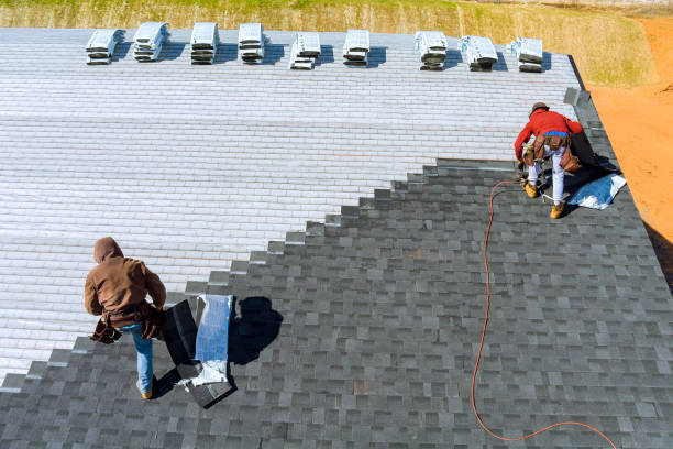 Best Roof Gutter Cleaning  in Evadale, TX